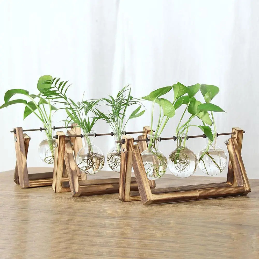 Hydroponic Plant Vases Glass Vase Vintage Bonsai Flower Pot Terrarium