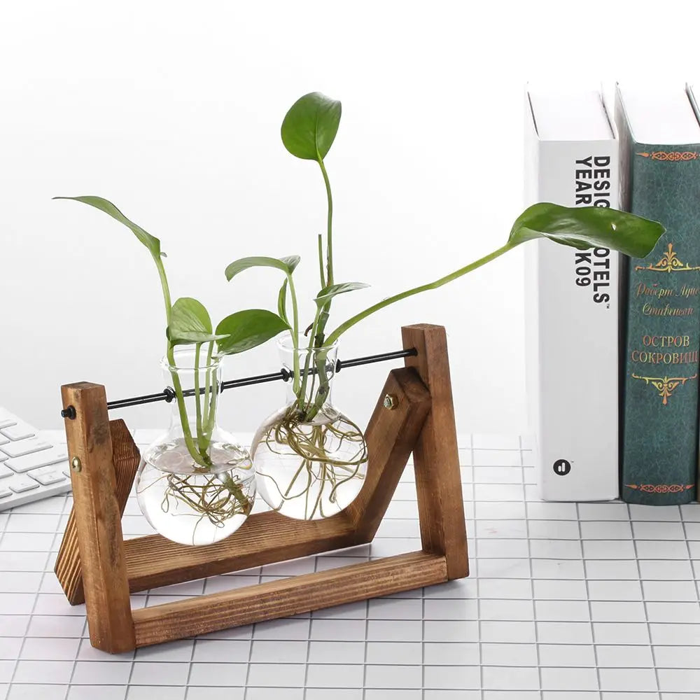 Hydroponic Plant Vases Glass Vase Vintage Bonsai Flower Pot Terrarium