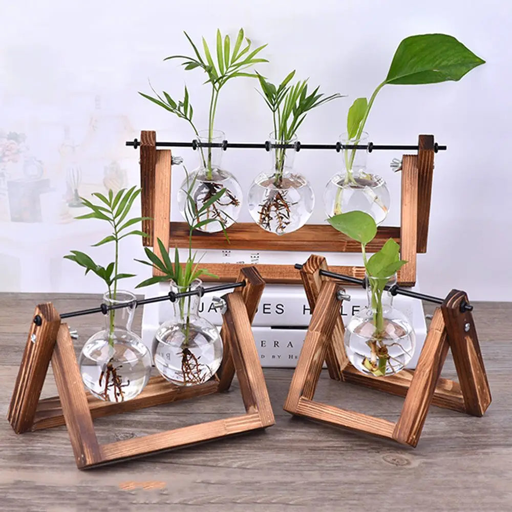 Hydroponic Plant Vases Glass Vase Vintage Bonsai Flower Pot Terrarium
