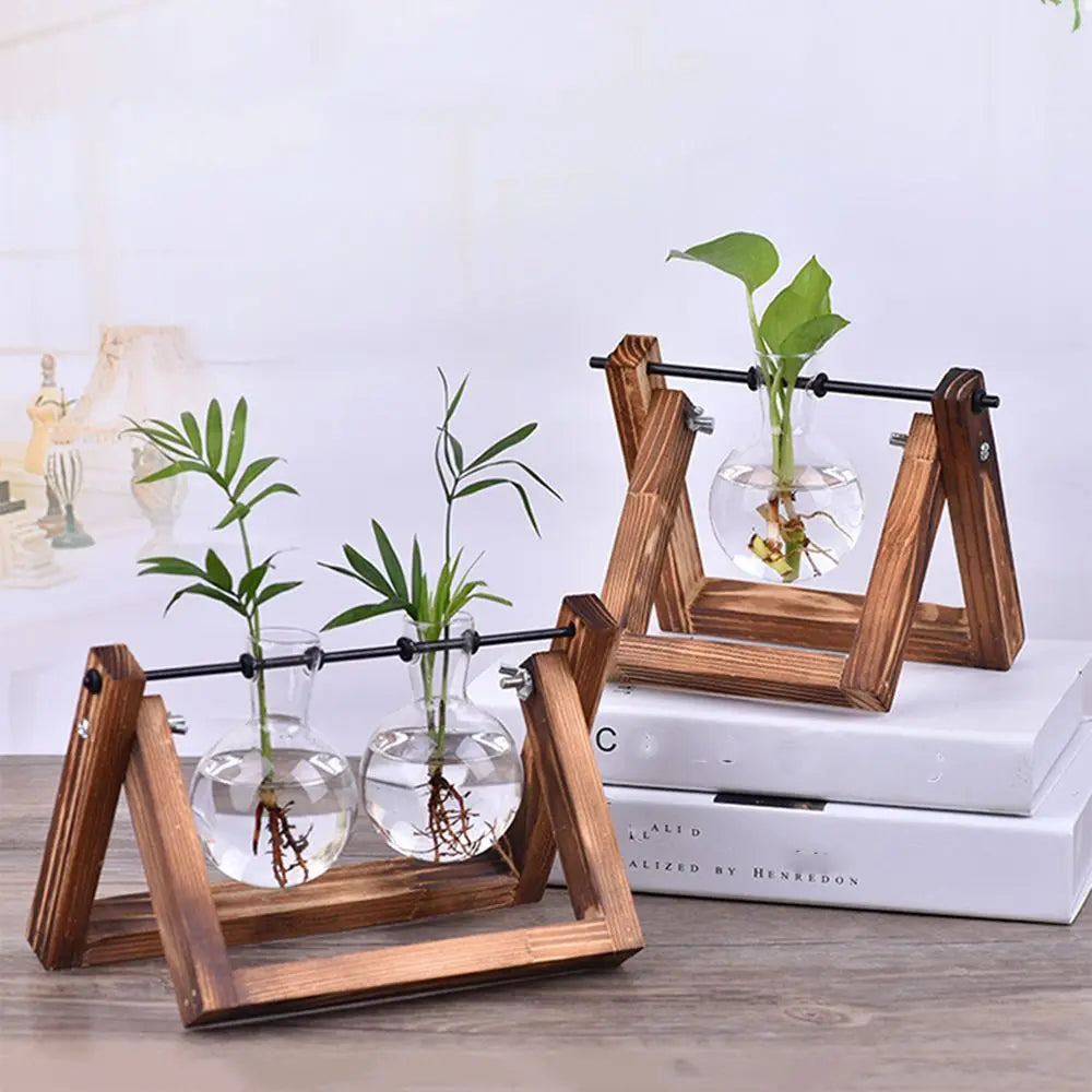 Hydroponic Plant Vases Glass Vase Vintage Bonsai Flower Pot Terrarium