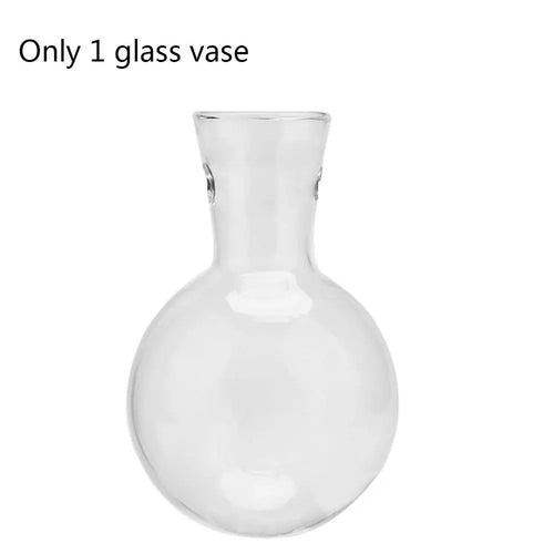 Hydroponic Plant Vases Glass Vase Vintage Bonsai Flower Pot Terrarium